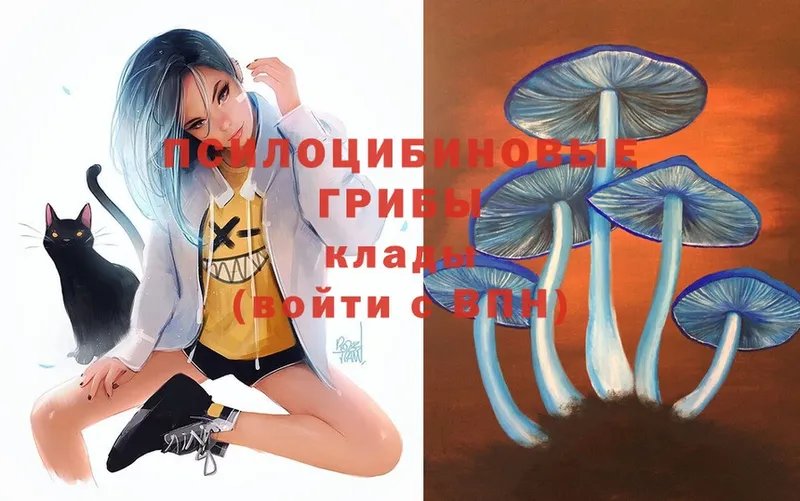 где найти наркотики  Усолье-Сибирское  Псилоцибиновые грибы Psilocybe 